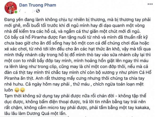 Nuôi cá dữ Piranha, Đan Trường bị cắn tới mức chảy máu