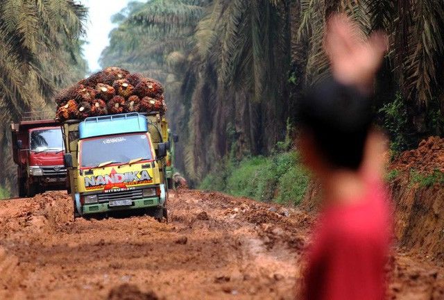 Đông Nam Á bị ô nhiễm không khí do ảnh hưởng cháy rừng ở Indonesia