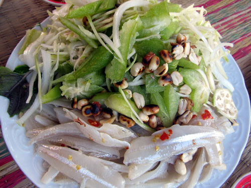Người phụ nữ bị sán lá gan phủ kín chân, vùng nhạy cảm vì ăn cá sống