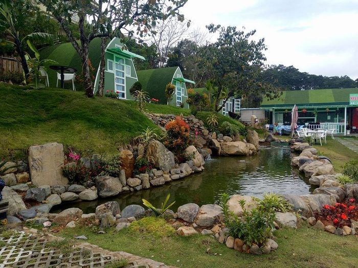 Top 10 homestay Đà Lạt có giá “hạt dẻ” view đẹp nhất năm 2019