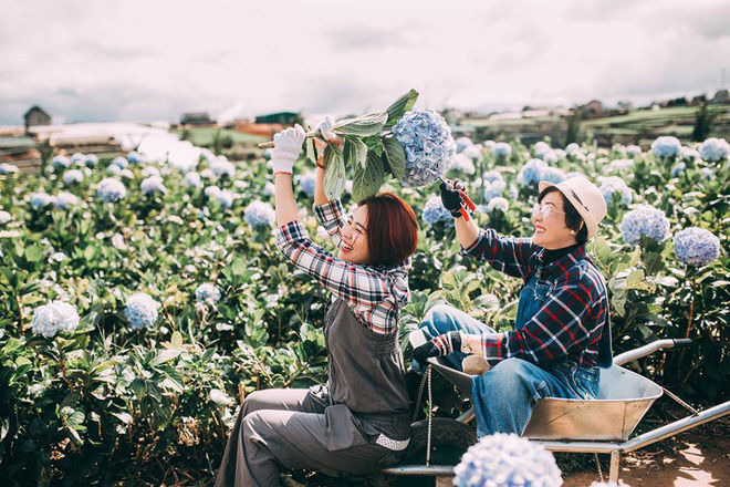 Nhậu cùng nhau, yêu lại từ đầu... bí quyết giúp hâm nóng tình cảm