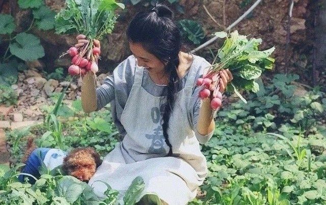 Bỏ mức lương 2000 USD ở phố thị, cô gái về quê trồng rau, nuôi cá