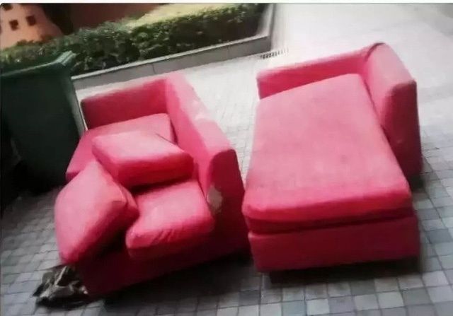 Bỏ mức lương 2000 USD ở phố thị, cô gái về quê trồng rau, nuôi cá
