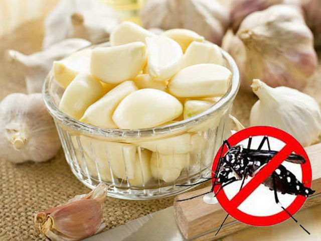Nguyên nhân muỗi đốt nhiều: do hay uống bia, nhóm máu thu hút muỗi
