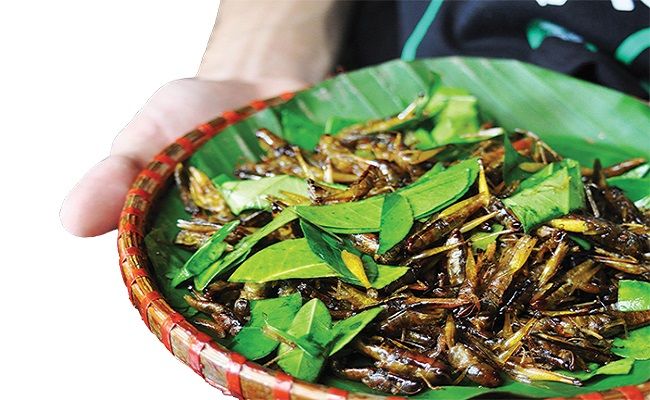 Đến Tây Bắc phải check-in Mù Cang Chải, Sapa, Hà Giang,... là xưa rồi