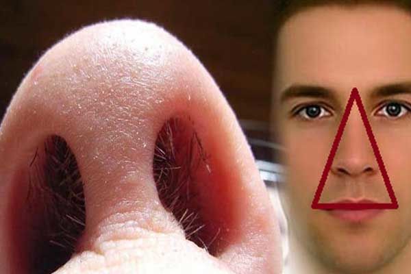 Bác Sĩ Erich Voigt: Nhổ lông mũi thường xuyên gây viêm nang lông