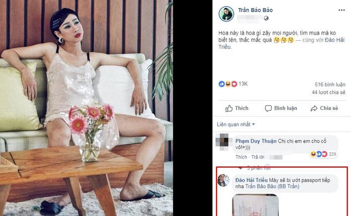Bình luận ảnh Trấn Thành, BB Trần được CDM phong thánh cà khịa