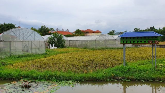 Cận cảnh trang trại trăm tỷ của sư thầy xin hoàn tục để cưới vợ
