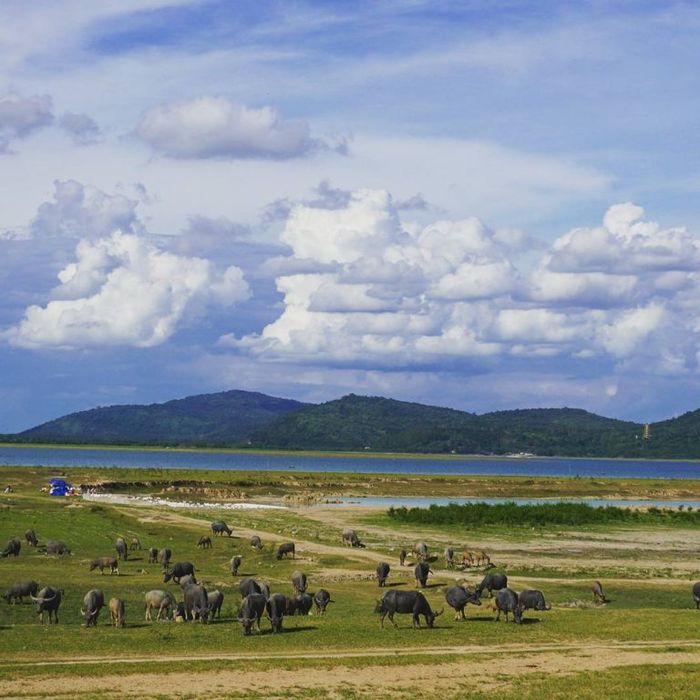 Du lịch cuối tuần ở Tây Ninh: Khám phá Đà Lạt của miền Đông Nam Bộ
