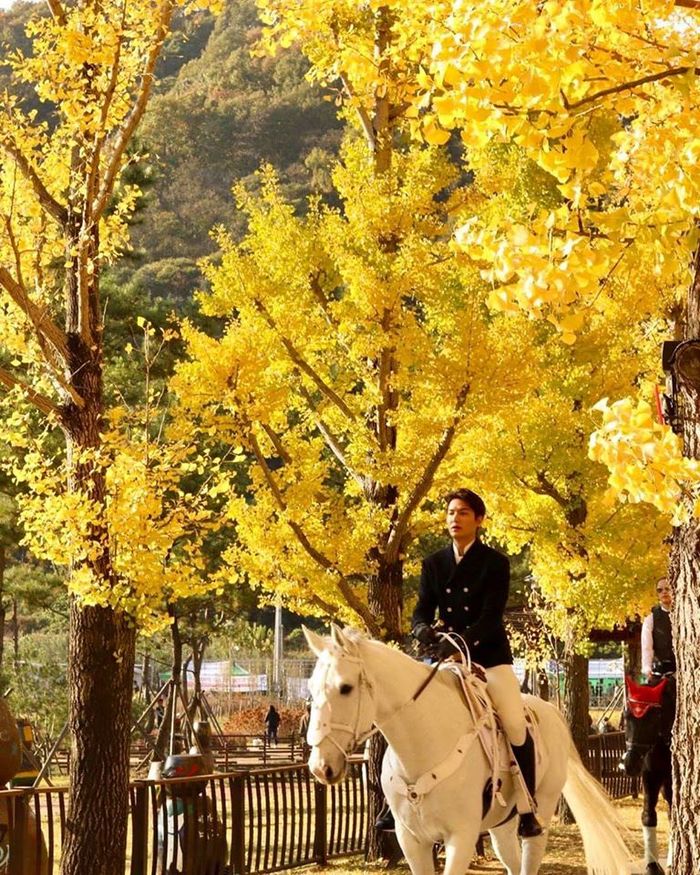 Lee Min Ho cưỡi bạch mã, xuất hiện cực điển trai trên phim trường