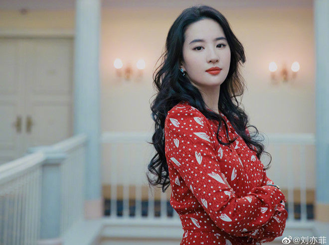 Lưu Diệc Phi 32 tuổi vẫn độc thân và cuộc sống bên 60 chú mèo