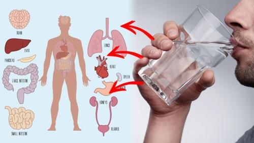 Hiệp hội Y khoa Nhật: Uống nước ấm khi thức dậy sẽ kiểm soát cân nặng