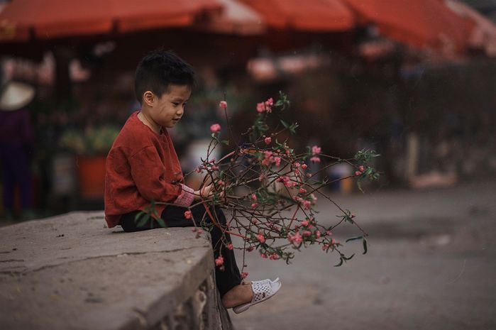 Nếu cuộc đời trù dập hãy về với gia đình, bão tố sẽ nằm sau cánh cửa