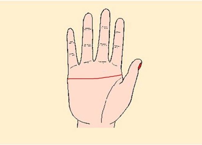 Nhân tướng học: Ai có đường chỉ tay tài vận này rất dễ phú quý cả đời