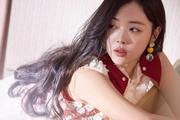 Sau tang lễ, gia đình Sulli đã lao vào cuộc chiến tranh giành tài sản