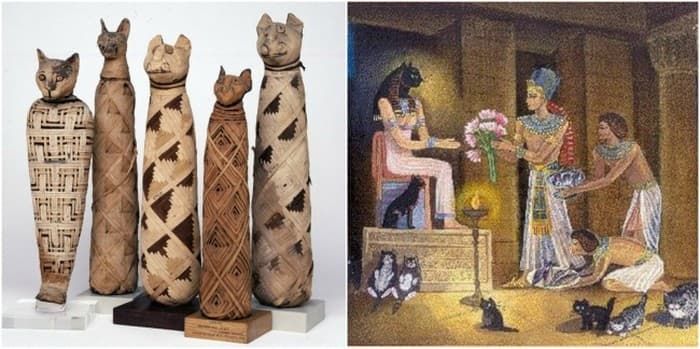 Việc làm kì quái của người cổ đại: để tang mèo, thử thai bằng mật ong