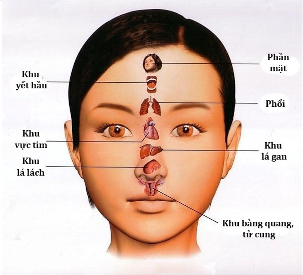 PGS.TS Nguyễn Hoài Nam: Mặt đỏ kèm mệt mỏi là dấu hiệu bị cao huyết áp