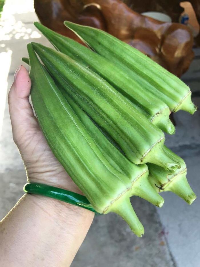 Rau trái trong nhà sao Việt ở trời Tây: Vườn Quang Lê luôn trĩu quả