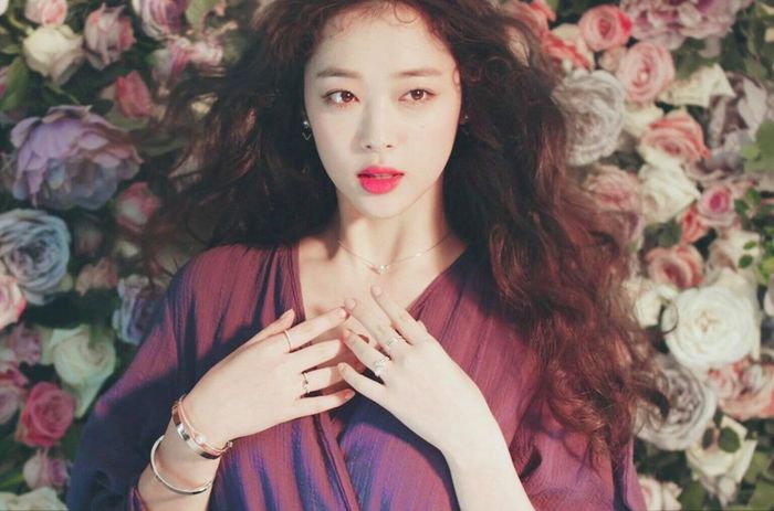 Sulli từng chia sẻ đang rất đỗi cô đơn nhưng netizen lại mắng mỏ cô