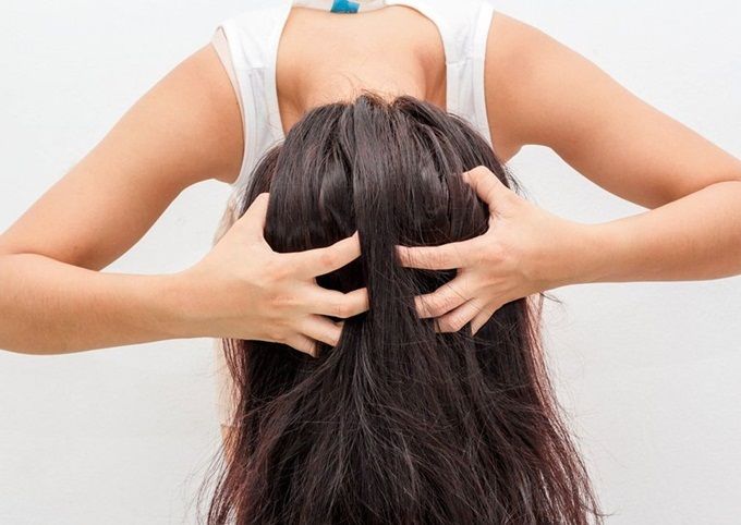 ThS.BS Vũ Thái Hà: Gội đầu mỗi ngày khiến da đầu sinh ra gàu nhiều hơn