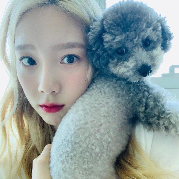 Thú cưng nổi tiếng của idol Kpop: Chú cún Mickey của J-Hope cute nhất