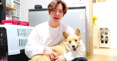 Thú cưng nổi tiếng của idol Kpop: Chú cún Mickey của J-Hope cute nhất