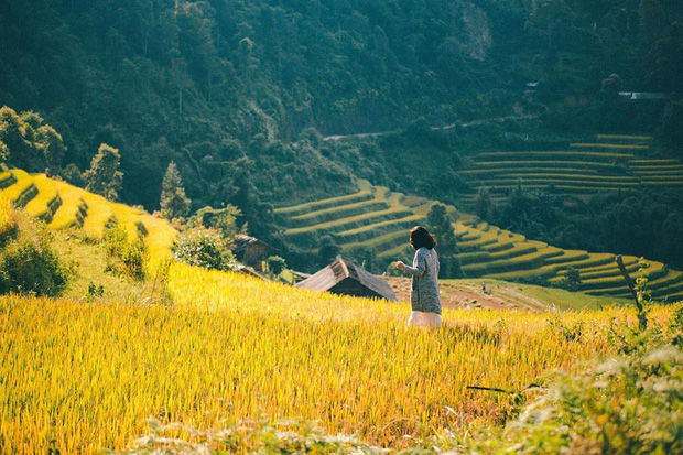 “Tứ đại đỉnh đèo” dân tình nên ghé thăm: Mã Pí Lèng đẹp như tranh vẽ