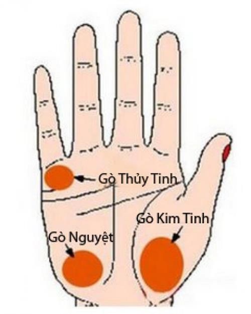 3 nét tướng chỉ tay của những phụ nữ dễ lận đận về đường con cái