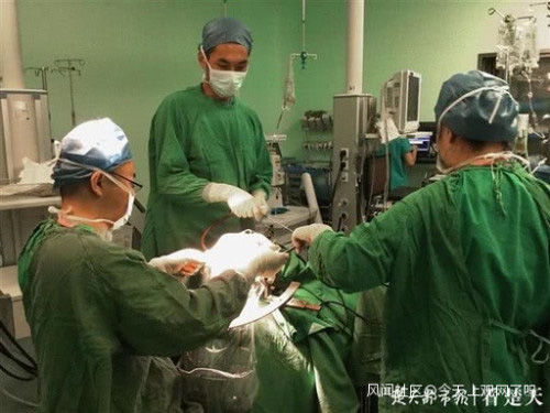 Ra tay hạ sát chuột, người phụ nữ bị ám ảnh đến mức rửa tay mỗi ngày
