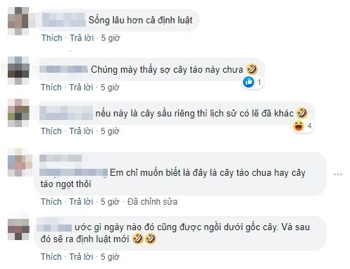 Cây táo Newton 400 tuổi vẫn phát triển và ra hoa kết trái