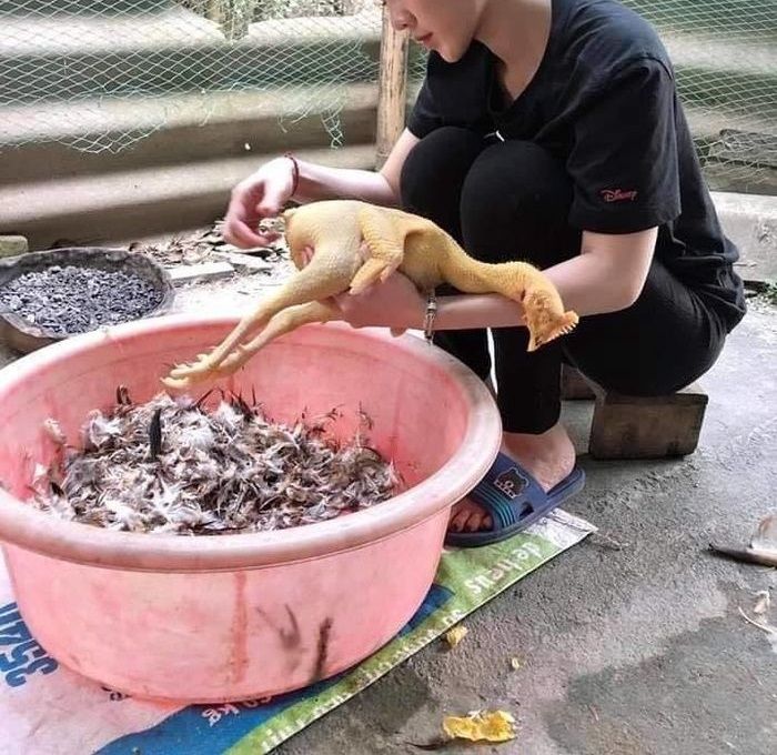 CĐM đặt ra tiêu chuẩn thoát ế, hài hước nhất tiêu chuẩn xào rau muống