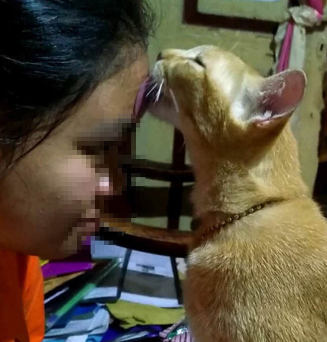 Cô gái trẻ nhận nhiều chỉ trích vì cho mèo cưng liếm mặt để trị mụn