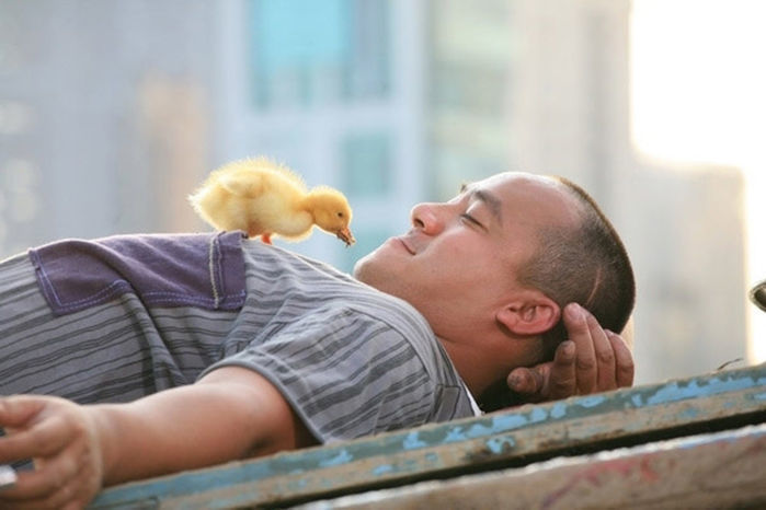 Dàn sao Bẫy Rồng sau 10 năm: “Đả nữ” Ngô Thanh Vân vươn ra thế giới