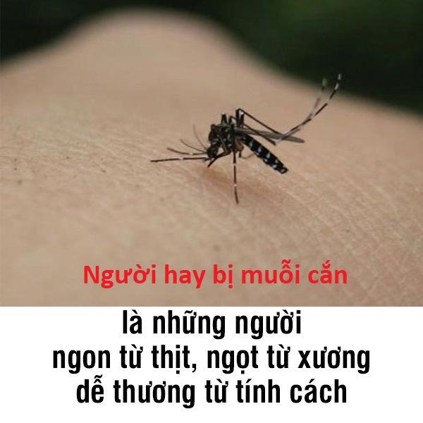 Đại học Oxford (Mỹ): Muỗi thích cắn người có tính cách hào phóng