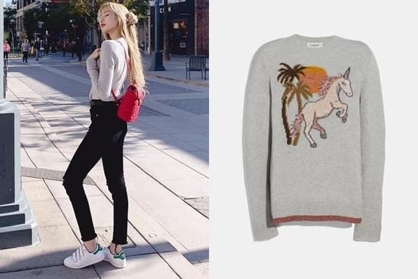 Không chỉ giày hiệu túi hiệu, Lisa còn có cả “núi” áo nỉ cả trăm triệu