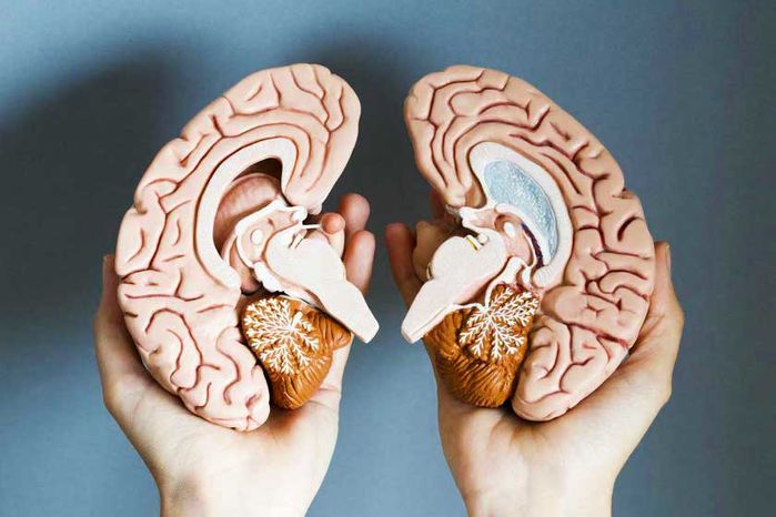 Nghiện nói đùa có thể là dấu hiệu của các vấn đề thần kinh