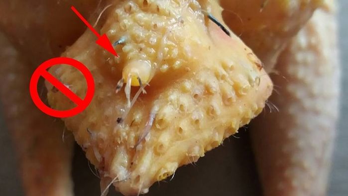 BS Viện Dinh Dưỡng QG: Phao câu gà là tổ vi khuẩn, dễ gây ung thư