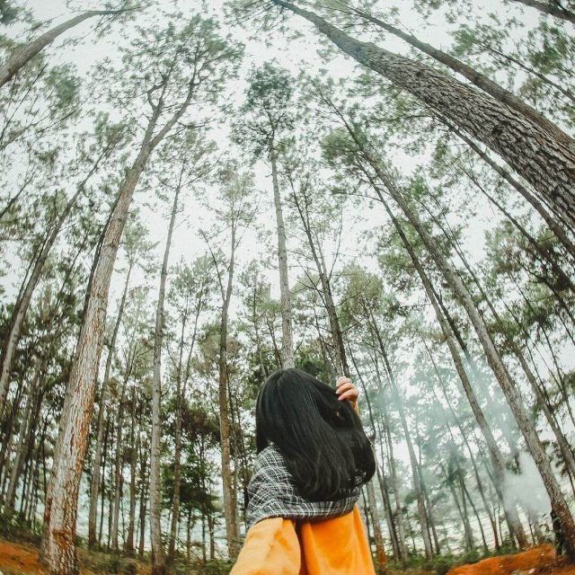 Dinh thự họ Vương, Phó Bảng... điểm chụp ảnh triệu like ở Hà Giang