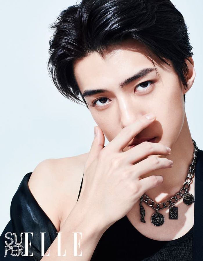 “Vườn hoa” nhà SM: YoonA, SeHun sở hữu nhan sắc “cực phẩm”