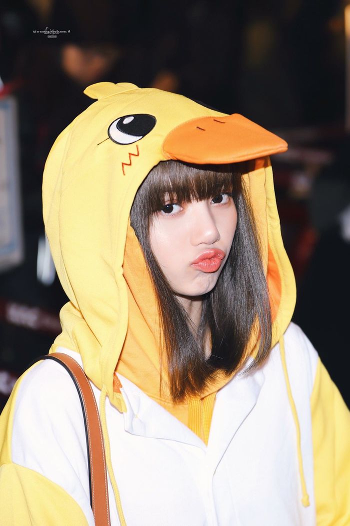 Lisa, Jisoo chiếm trọn spotlight khi cosplay thỏ - vịt ra sân bay