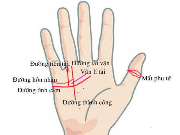Nhân tướng học: Phụ nữ có nốt ruồi ở bàn tay hôn nhân cực hạnh phúc