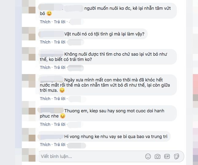Khoảnh khắc đau lòng: những chú chó van xin chủ nhân khi bị bỏ rơi