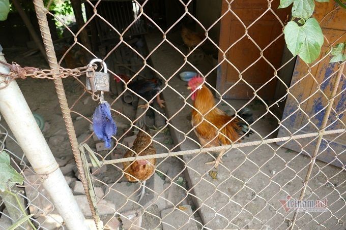 Ngôi nhà của Đoàn Văn Hậu, cầu thủ có lương 11,5 tỷ/năm tại CLB Hà Lan