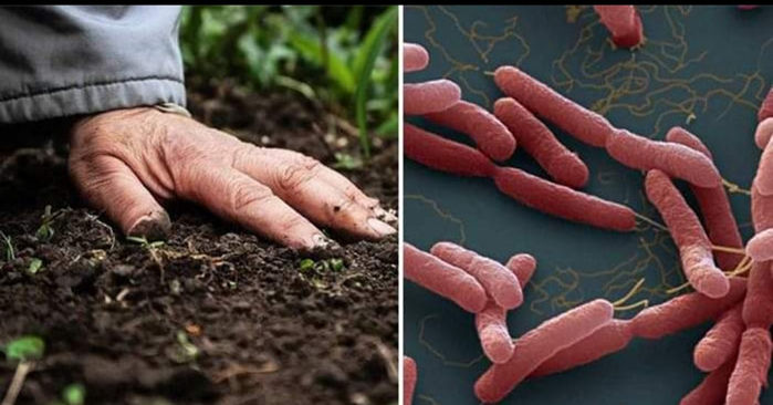 5 vấn đề sức khỏe năm 2019, đáng sợ nhất là vi khuẩn ăn thịt người