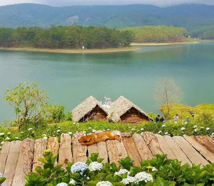 Đà Lạt: Từ một thành phố yên bình nay lại ngày càng ngột ngạt