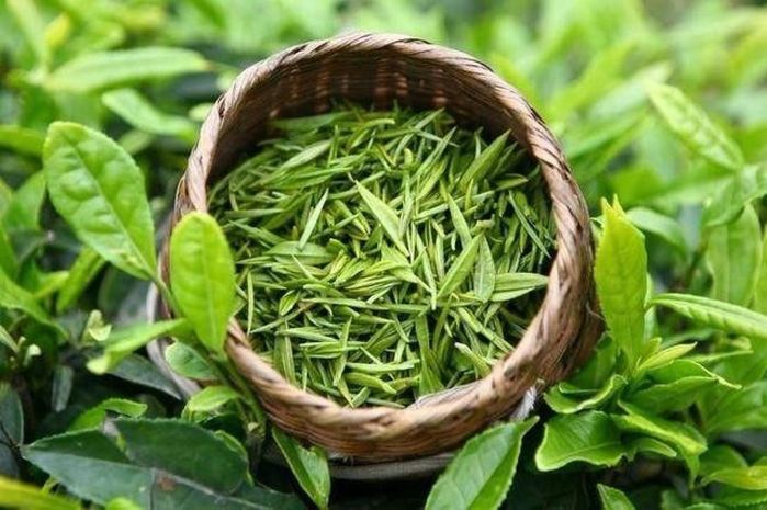 Kiểm tra sức khỏe tại nhà chỉ với 30 giây cùng một chậu nước lạnh