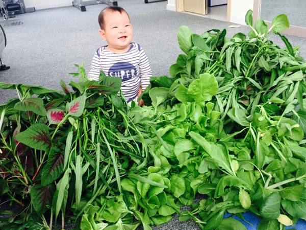 Minh Nhựa và loạt sao Việt giàu có vẫn tự trồng rau để dùng