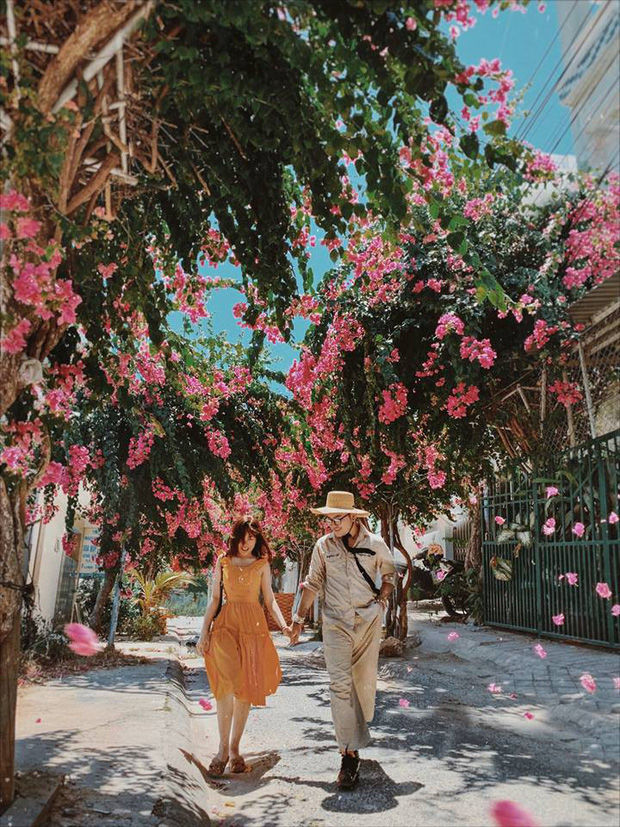 Quy Nhơn, Nha Trang...được vinh danh trên các BXH thế giới năm 2019