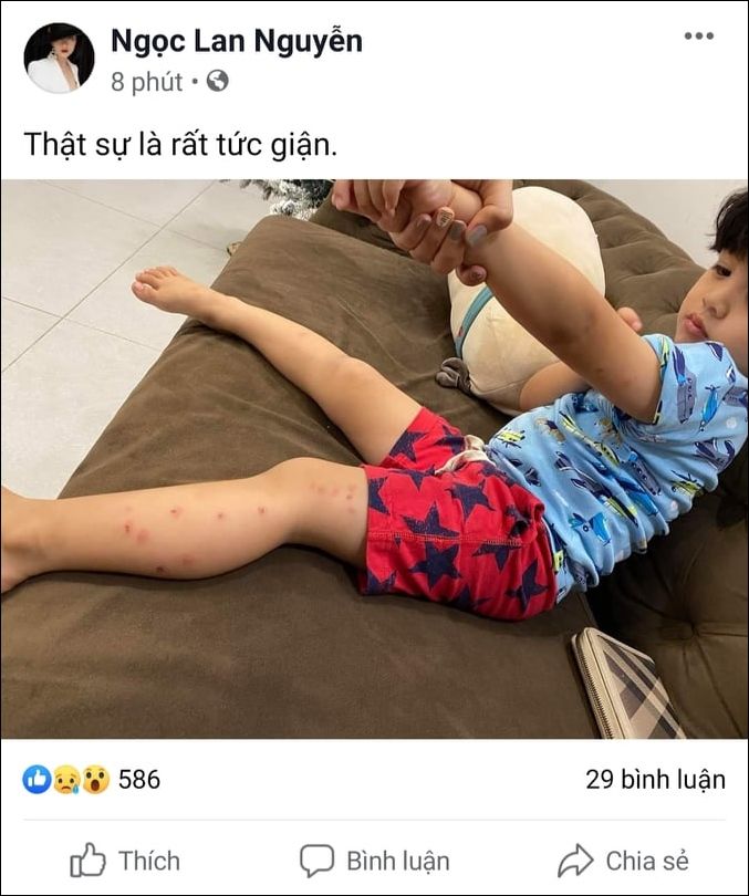 Ngọc Lan tức giận trách Thanh Bình không chăm sóc tốt cho con trai