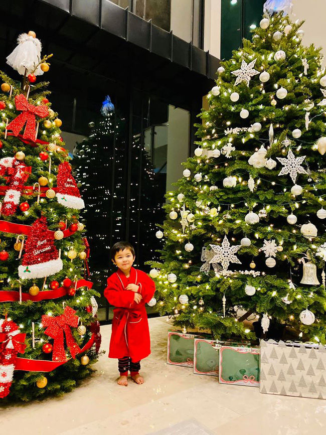 Sao Việt trang trí Noel tại Mỹ: Mr Đàm mạnh tay chi xa xỉ để sống ảo
